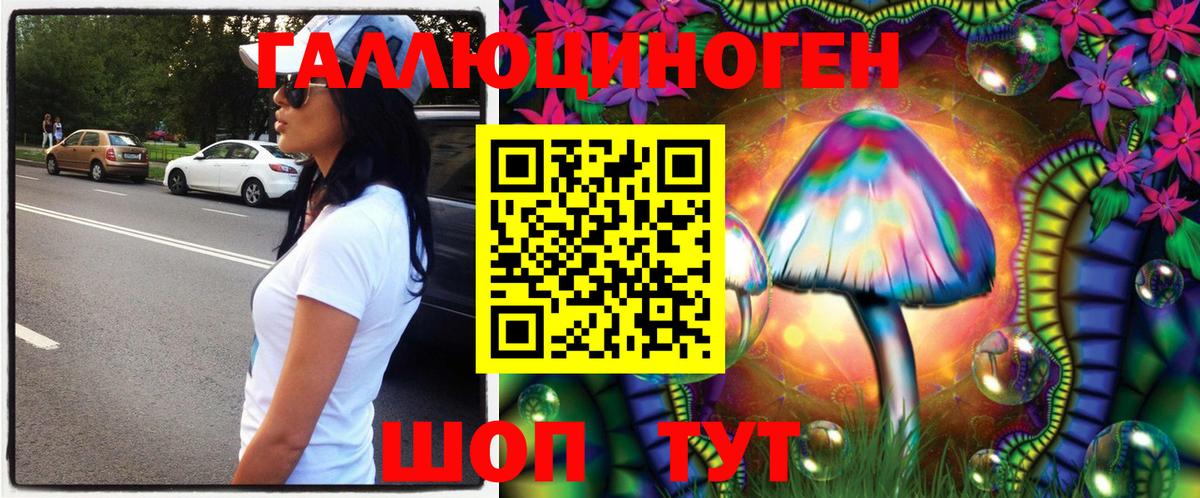 Чехов  Галлюциногенные грибы Cubensis  Галлюциногенные грибы Psilocybine cubensis  Вход с VPN 