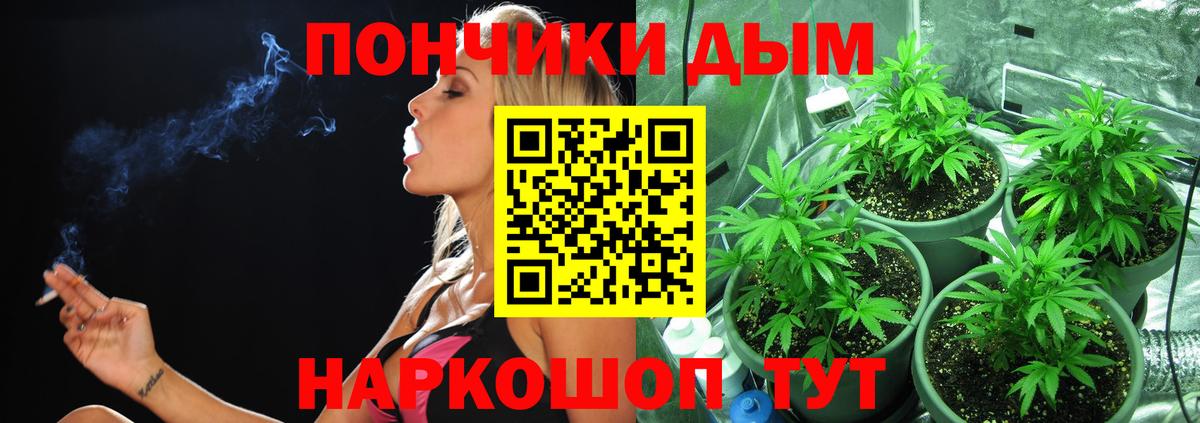 Каннабис MAZAR Чехов